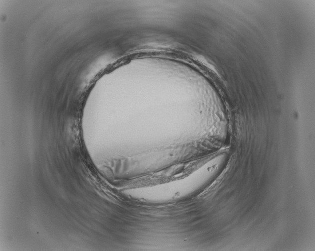 X0000078271355200611251343