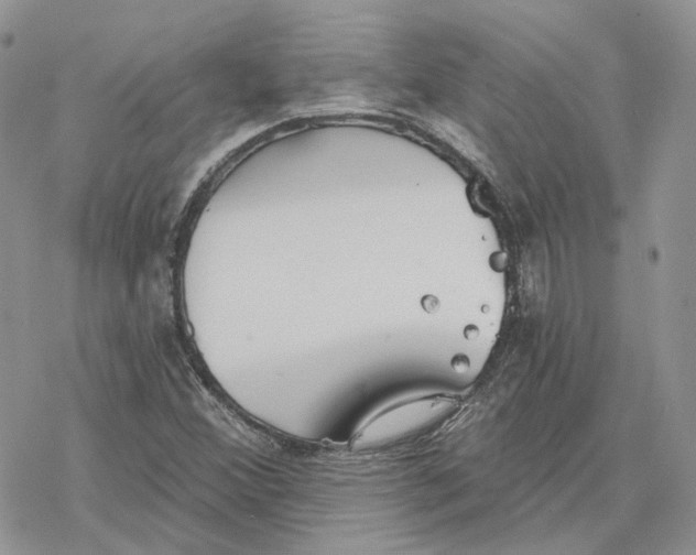 X0000078271356200611251343