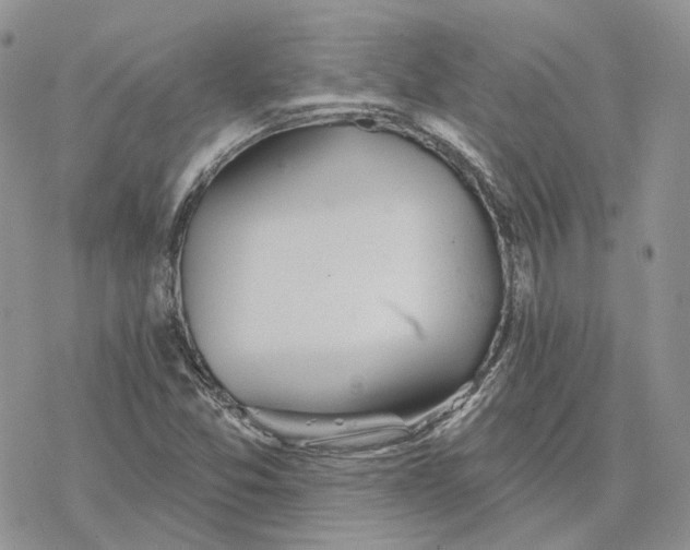 X0000078271357200611251343