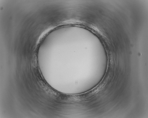 X0000078271358200611251343