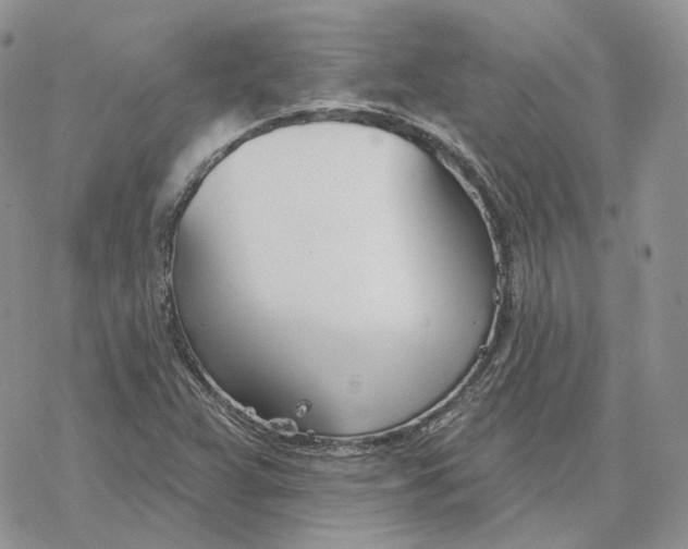 X0000078271359200611251343