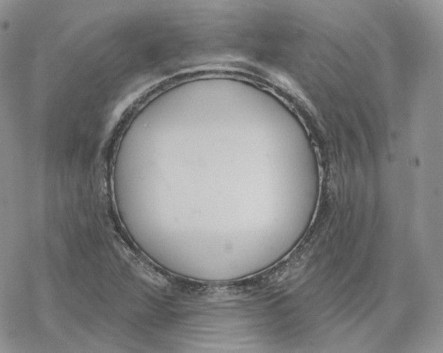 X0000078271360200611251343