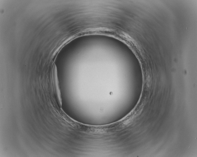 X0000078271361200611251343