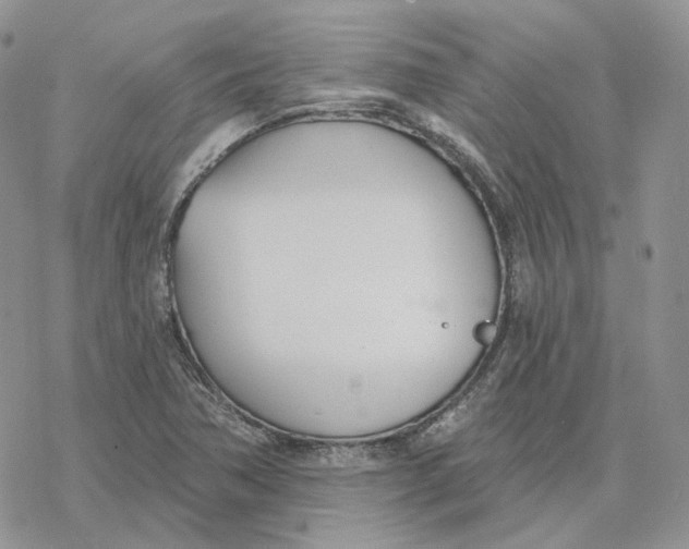 X0000078271362200611251343