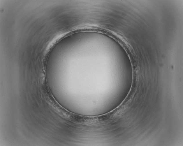 X0000078271363200611251343