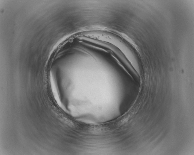 X0000078271364200611251343