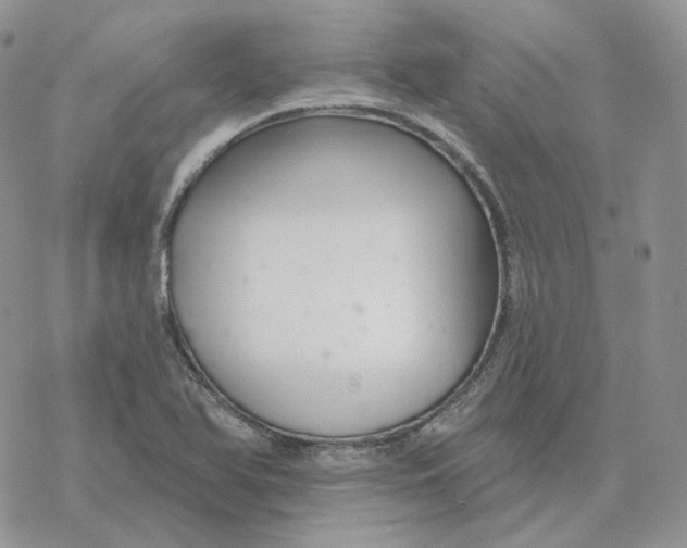 X0000078271366200611251343