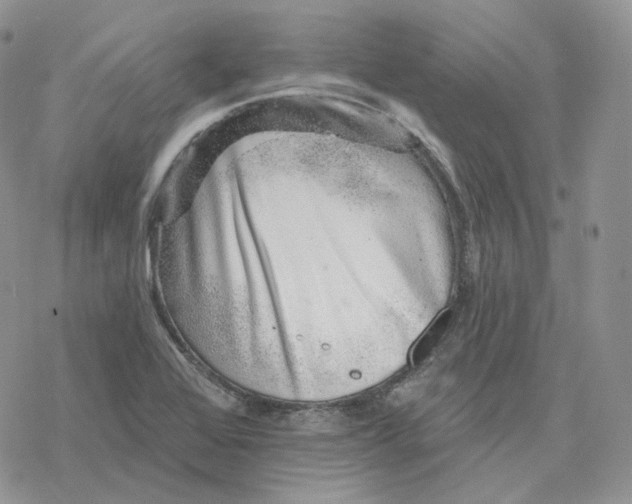 X0000078271368200611251343