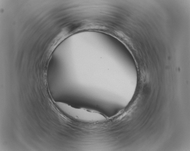 X0000078271369200611251343