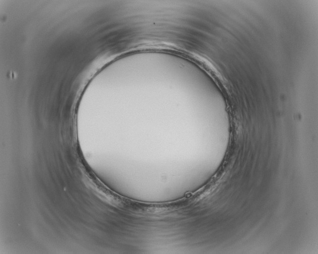 X0000078271371200611251343