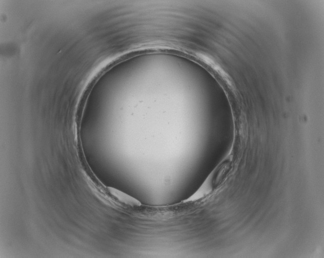 X0000078271372200611251343