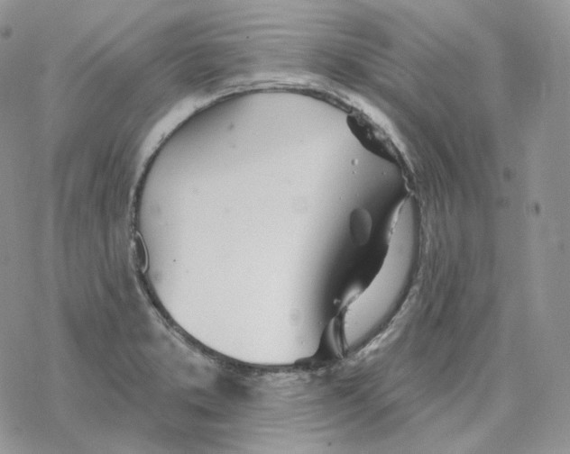 X0000078271373200611251343