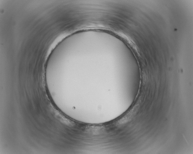 X0000078271374200611251343