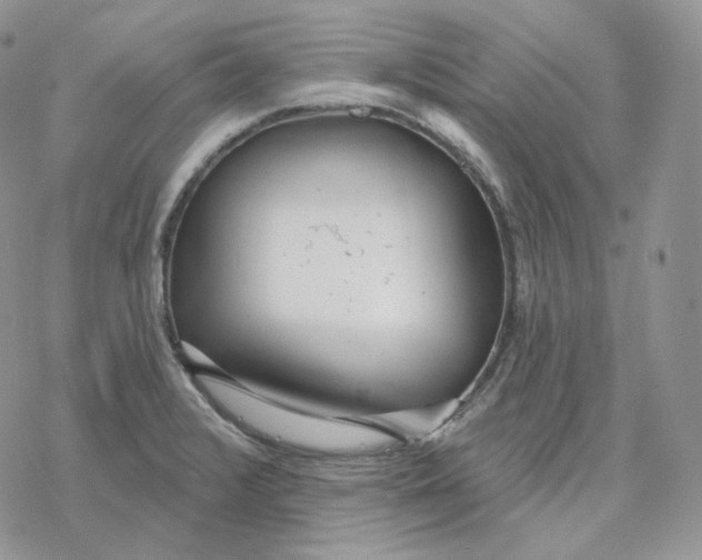 X0000078271376200611251343