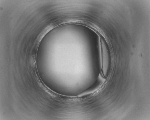 X0000078271377200611251343