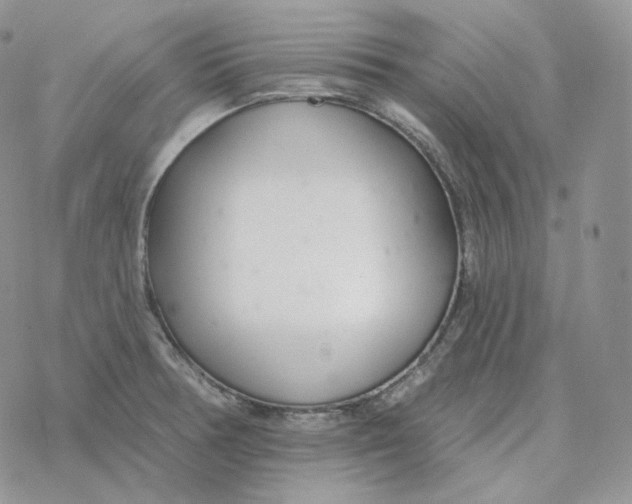 X0000078271378200611251343