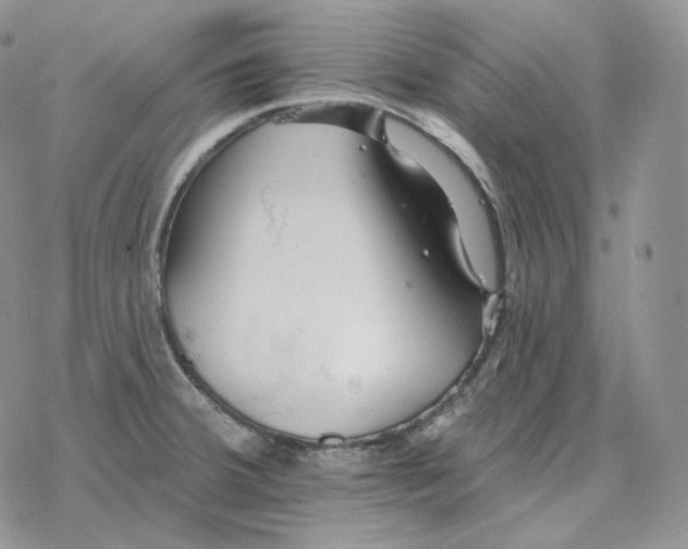 X0000078271380200611251342