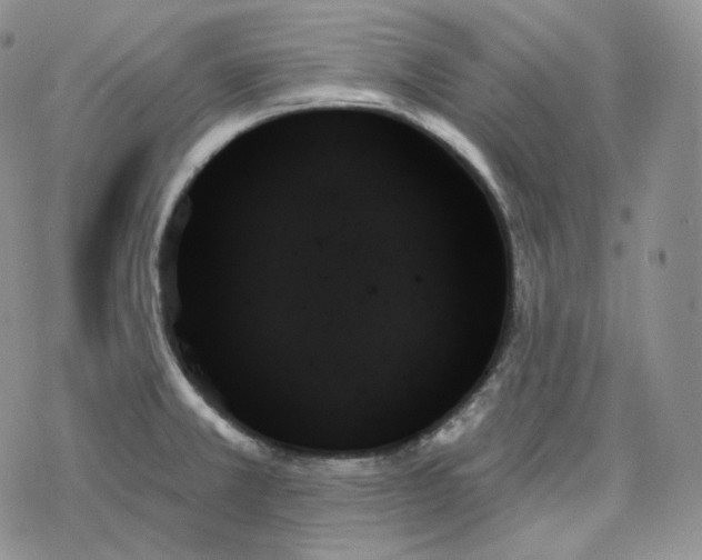 X0000078271381200611251342