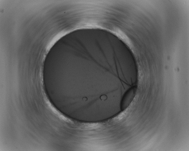 X0000078271382200611251342