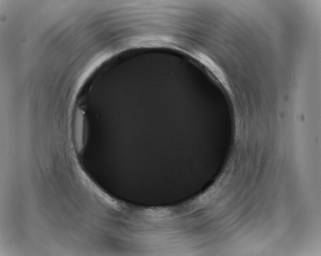 X0000078271384200611251342