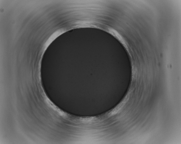 X0000078271386200611251342