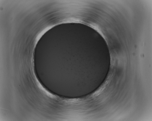 X0000078271387200611251342