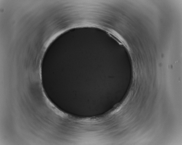 X0000078271388200611251342