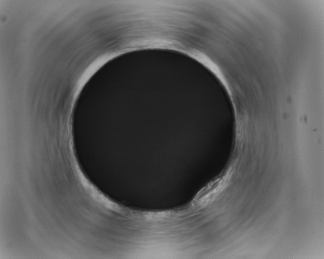 X0000078271389200611251342