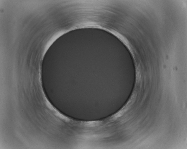 X0000078271390200611251342