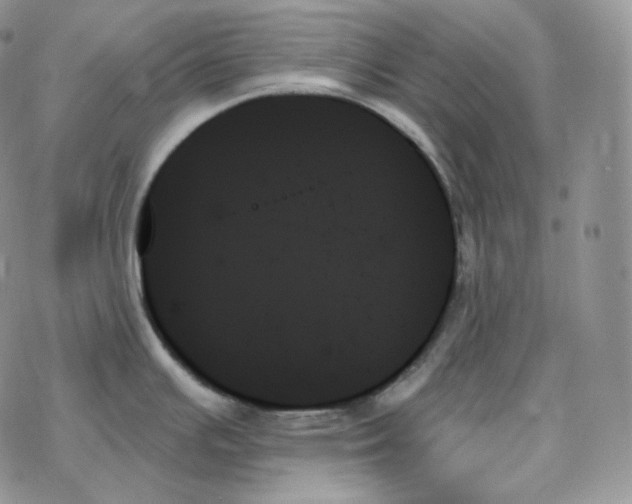 X0000078271391200611251342