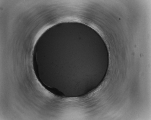 X0000078271392200611251342