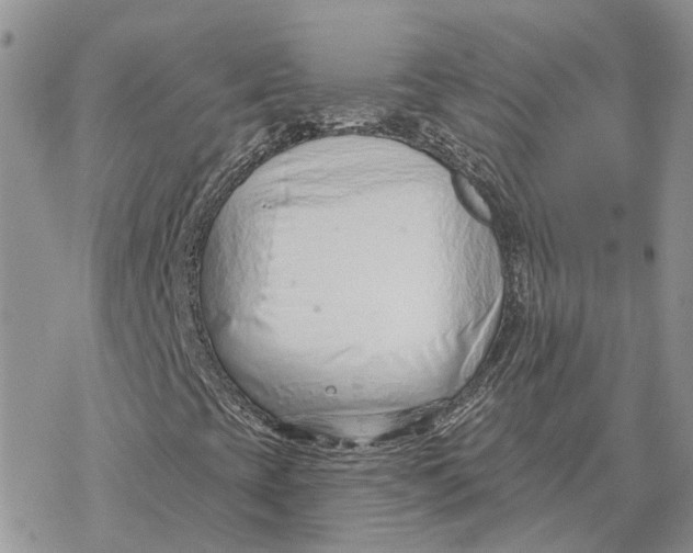 X0000078271393200611251342