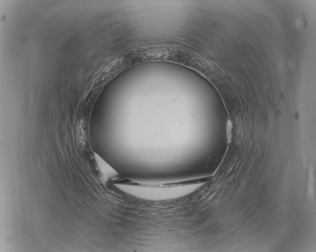 X0000078271394200611251342