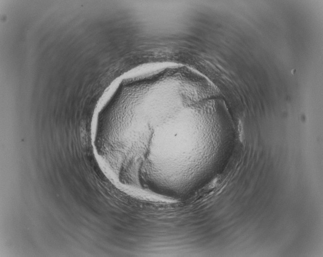 X0000078271395200611251342