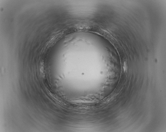 X0000078271396200611251342