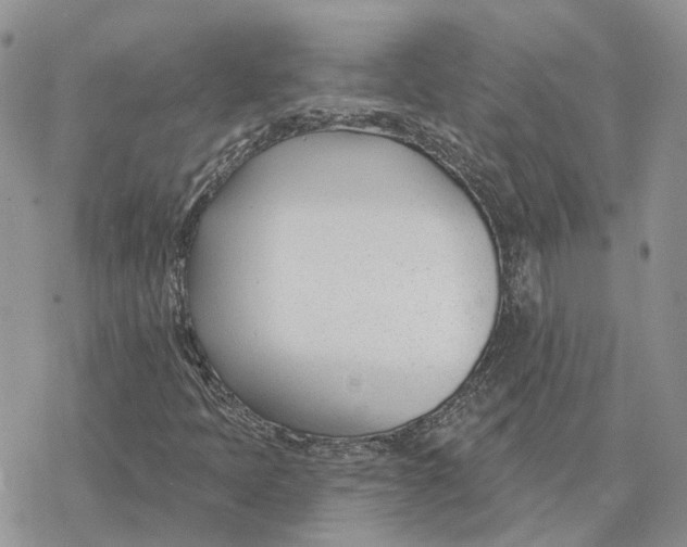 X0000078271397200611251342