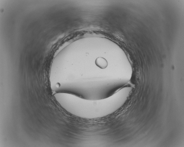 X0000078271398200611251342