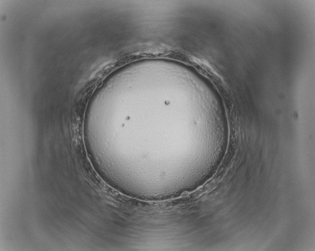 X0000078271399200611251342