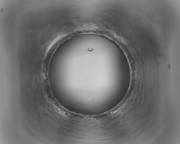 X0000078271400200611251342