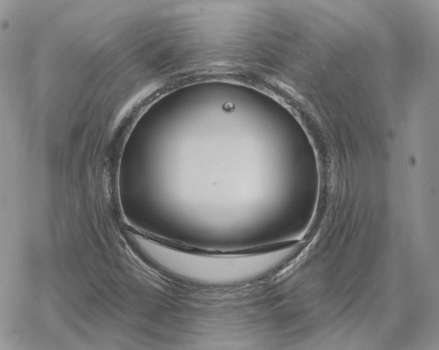 X0000078271402200611251342