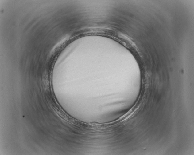 X0000078271403200611251342