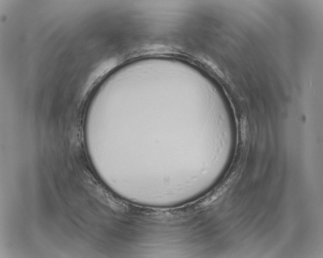 X0000078271405200611251342