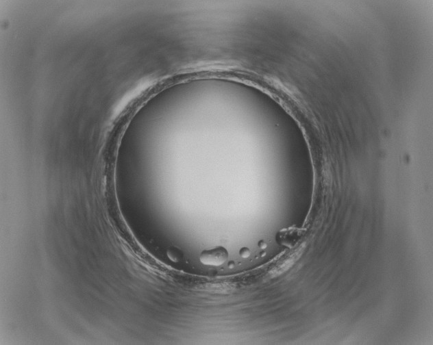 X0000078271406200611251342