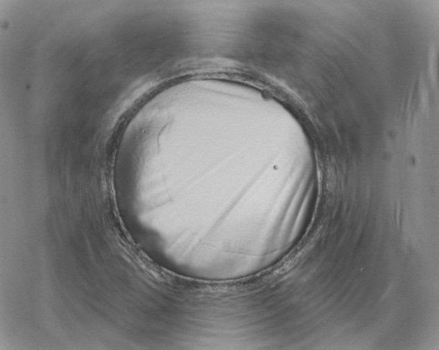 X0000078271407200611251342