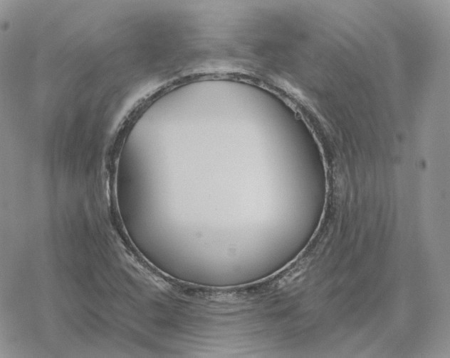 X0000078271408200611251342