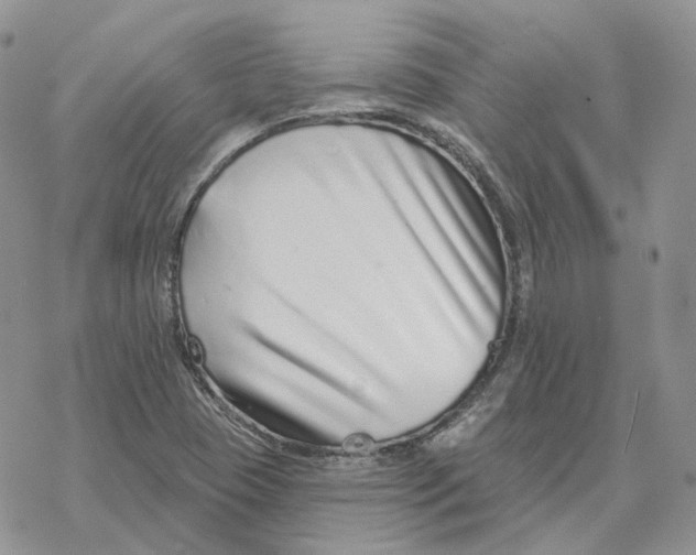 X0000078271409200611251342