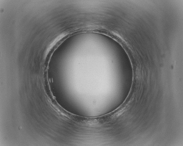 X0000078271410200611251342