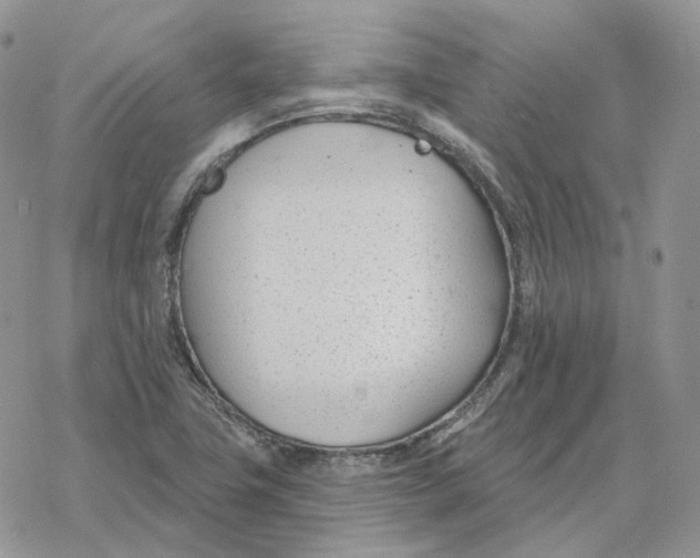 X0000078271411200611251342