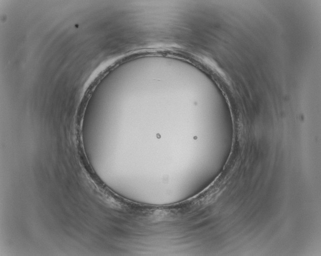 X0000078271412200611251342