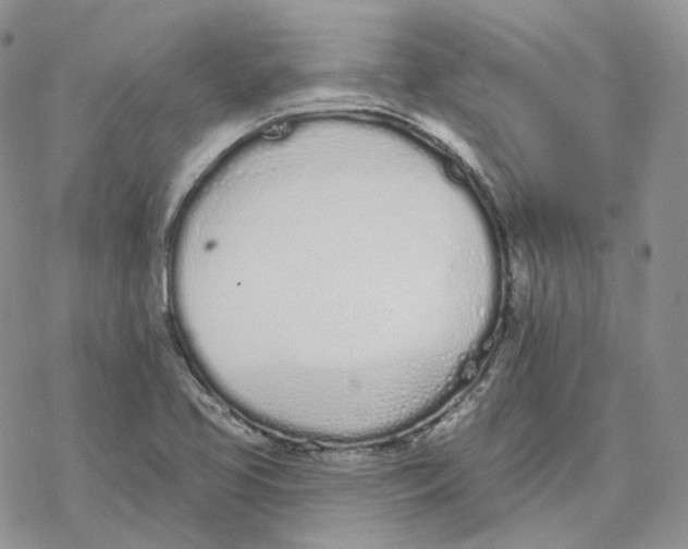 X0000078271413200611251342